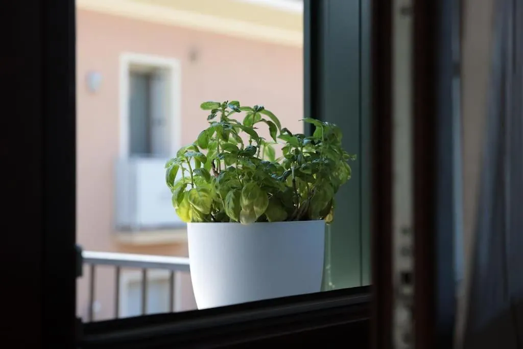 15 Min Padova Appartamento Moderno Travato Legnaro Italia